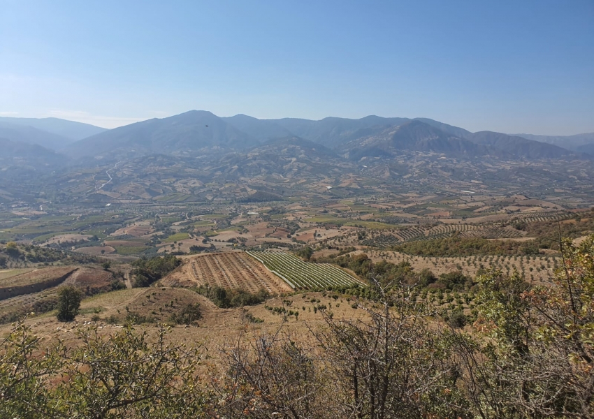 Manisa - Dadagli