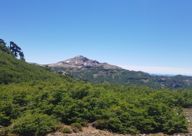 exploitation license for the Peumayén concession, Transmark Renewables, Transmark Chile
