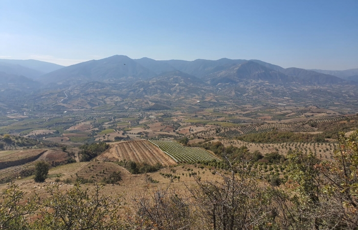 Manisa - Dadagli