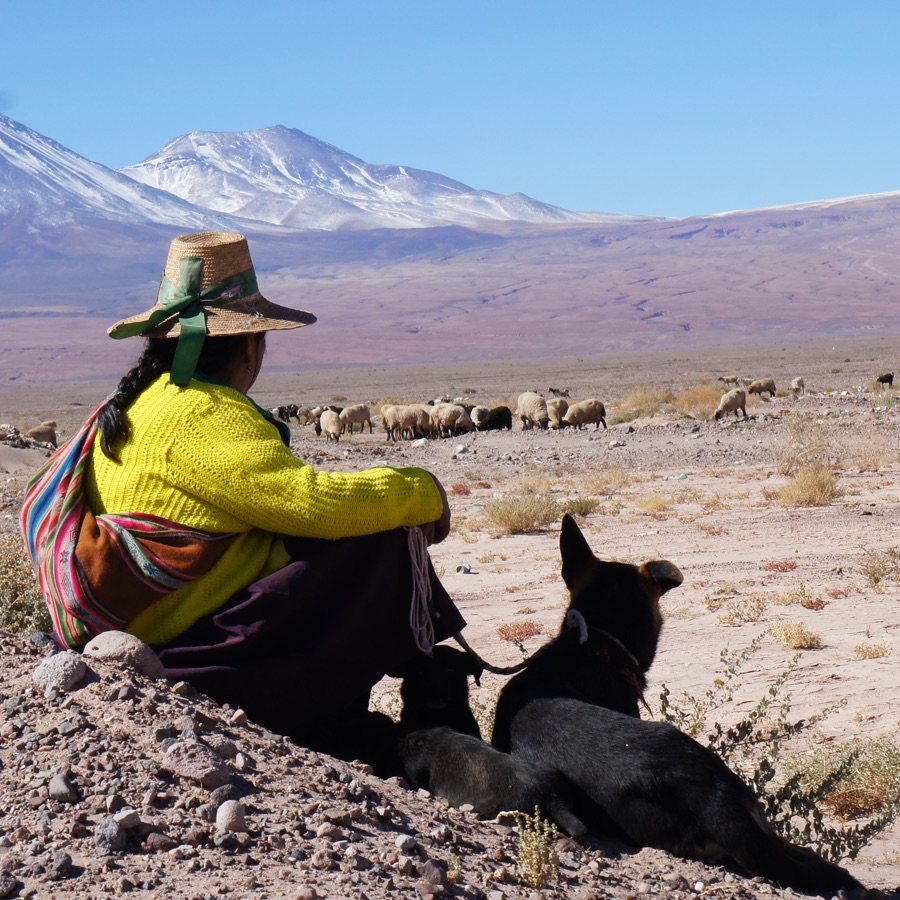 Picture of local inhabitant in Chile